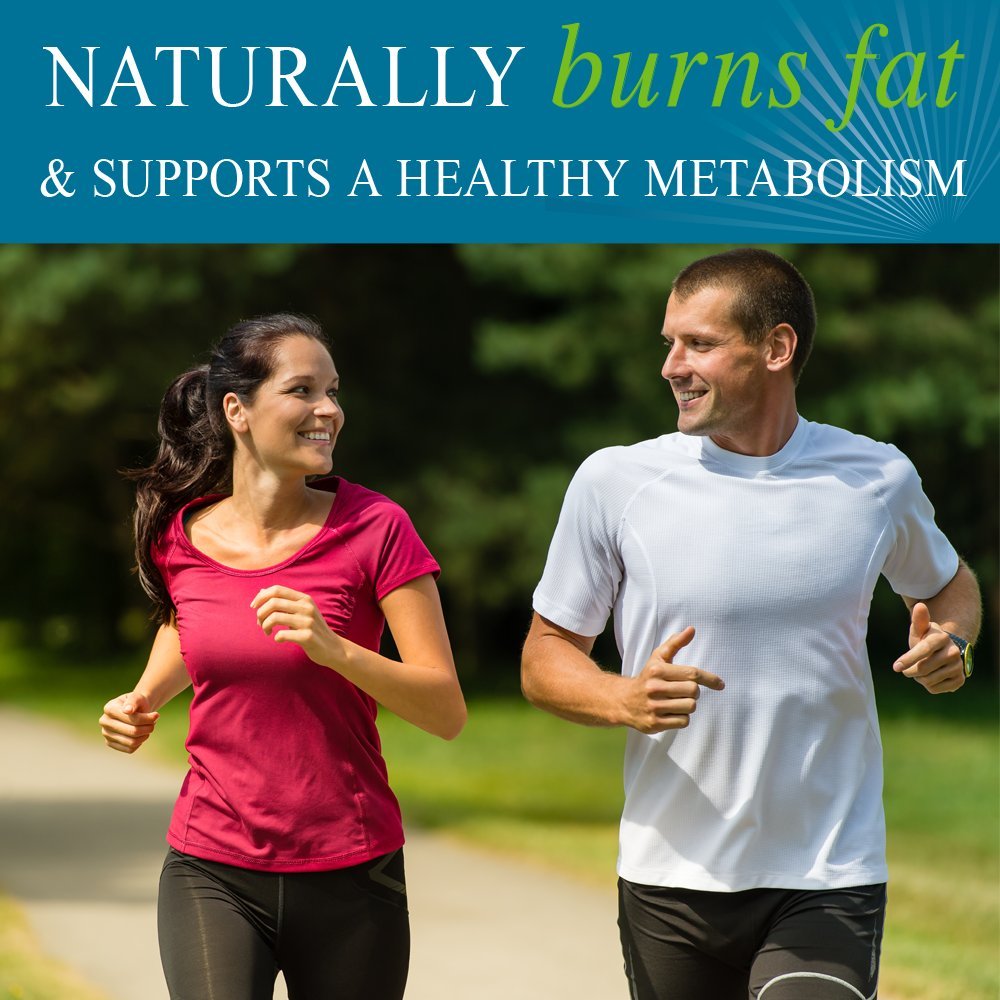 Garden of Life fuco-thin softgel close-up highlighting a whole-food metabolism support.