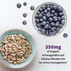 Garden of Life Mood+ nutrition label lists probiotic strains and prebiotic fiber.