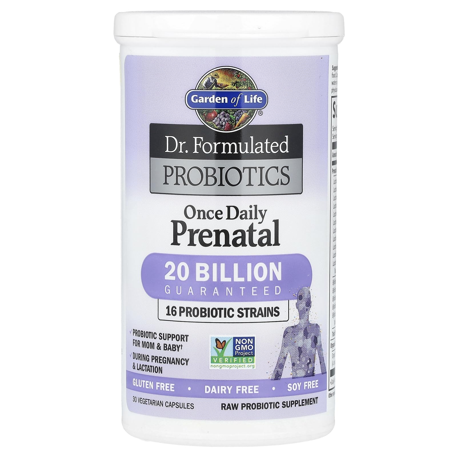 Garden of Life Once Daily Prenatal prebiotic fiber illustration