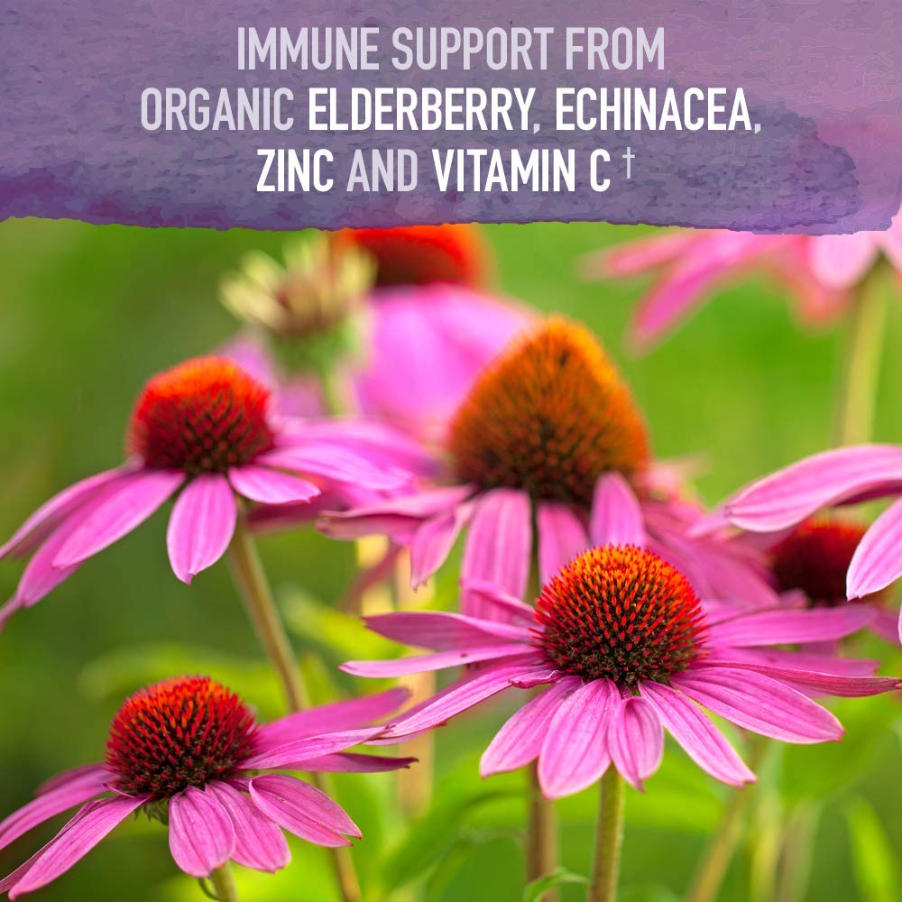 Garden of Life Organics zinc from guava shown as a mineral source.