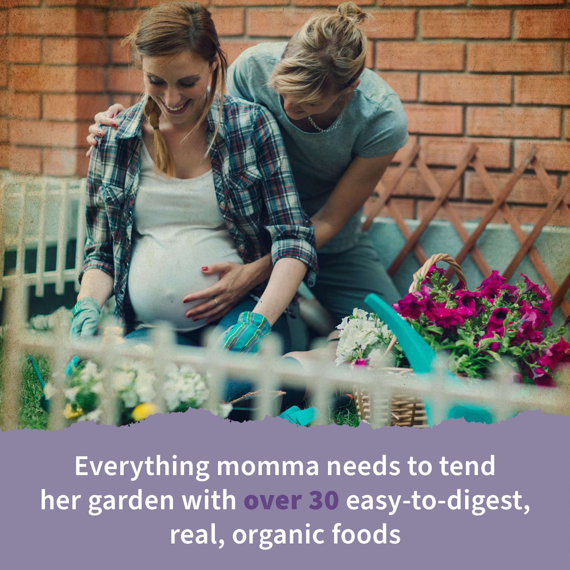 Garden of Life Organics Womens Prenatal with lemon peel folate details folate source.