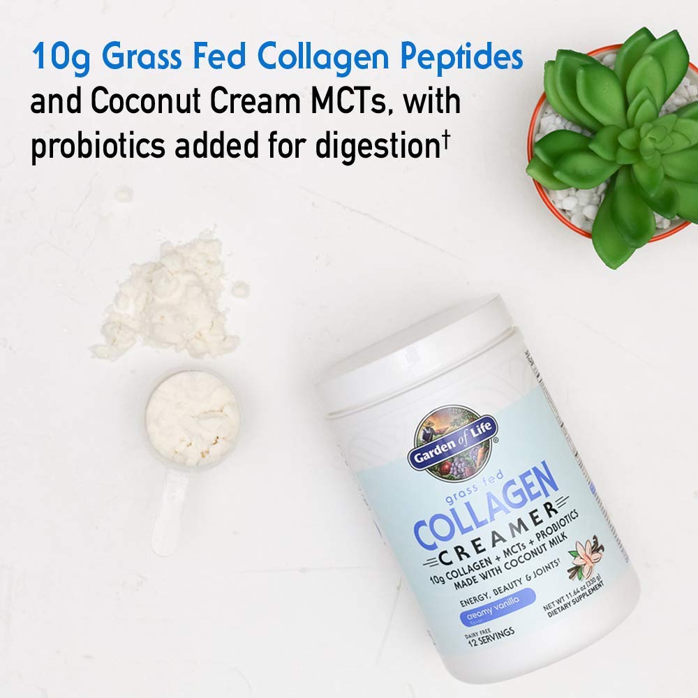 Garden of Life probiotic icon indicating digestive support with cream
