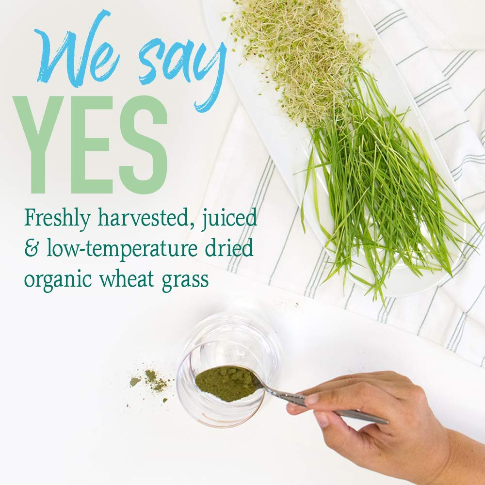 Garden of Life Raw Organic Perfect Food wheat grass powder in bowl with leafy greens.