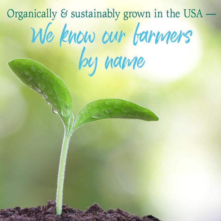 Garden of Life Raw Organic Perfect Food measuring scoop and container close-up.