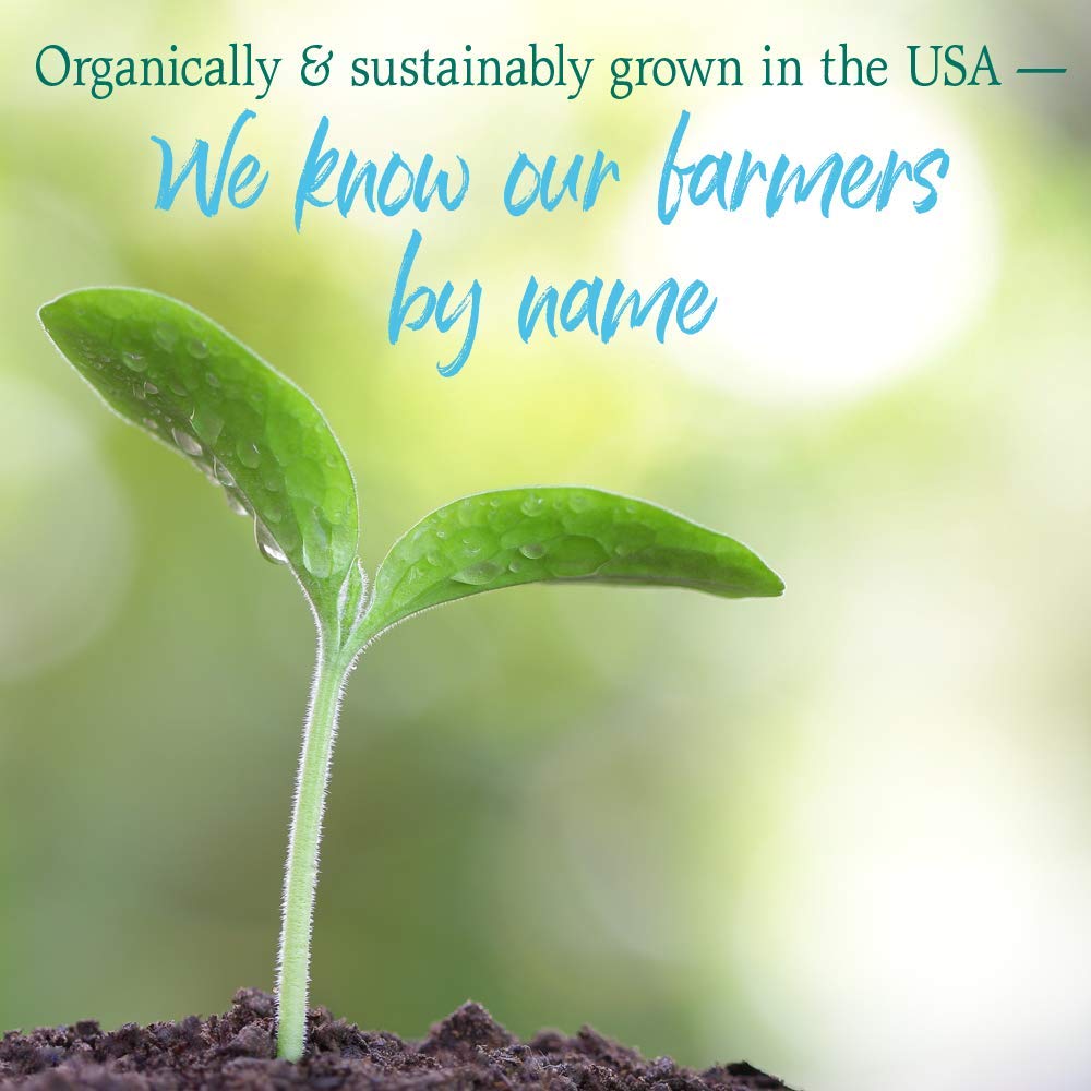 Garden of Life Raw Organic Perfect Food measuring scoop and container close-up.
