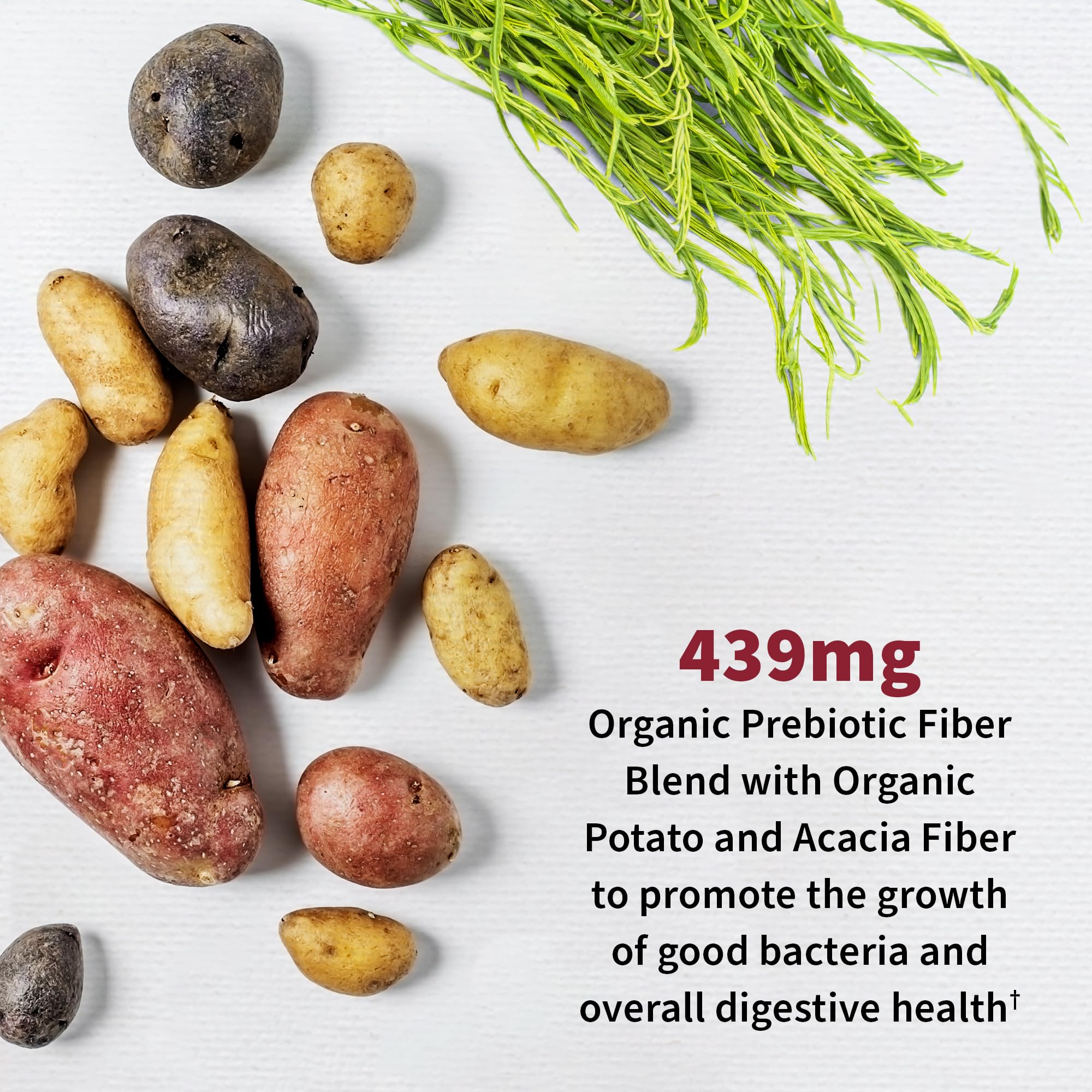 Shelf-stable probiotic bottle ideal for travel.