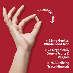 Garden of Life Vitamin Code Healthy Blood natural cofactors graphic emphasizes plant-based minerals