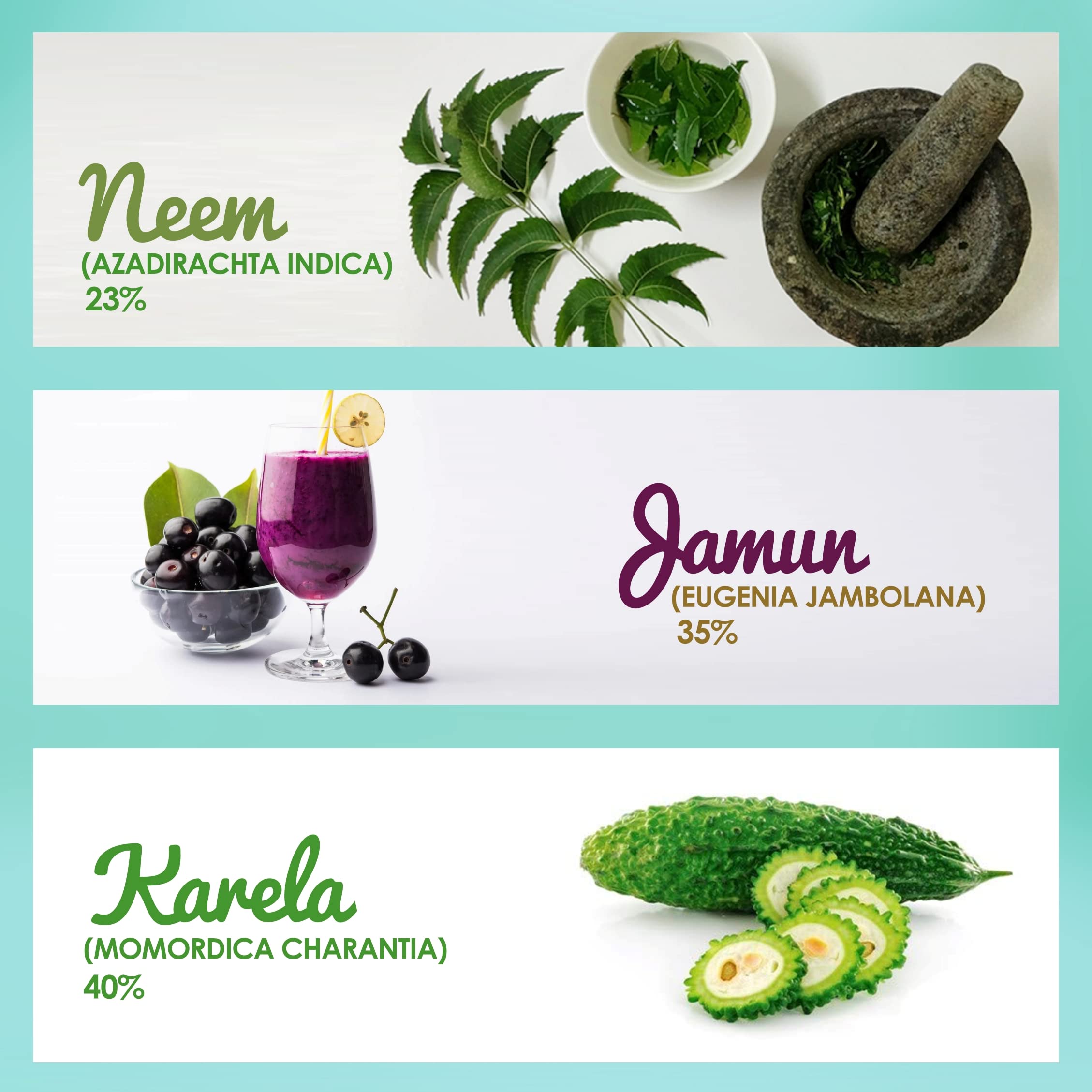 Garden of Nutrition Neem Karela Jamun ingredients close-up for balanced lifestyle.