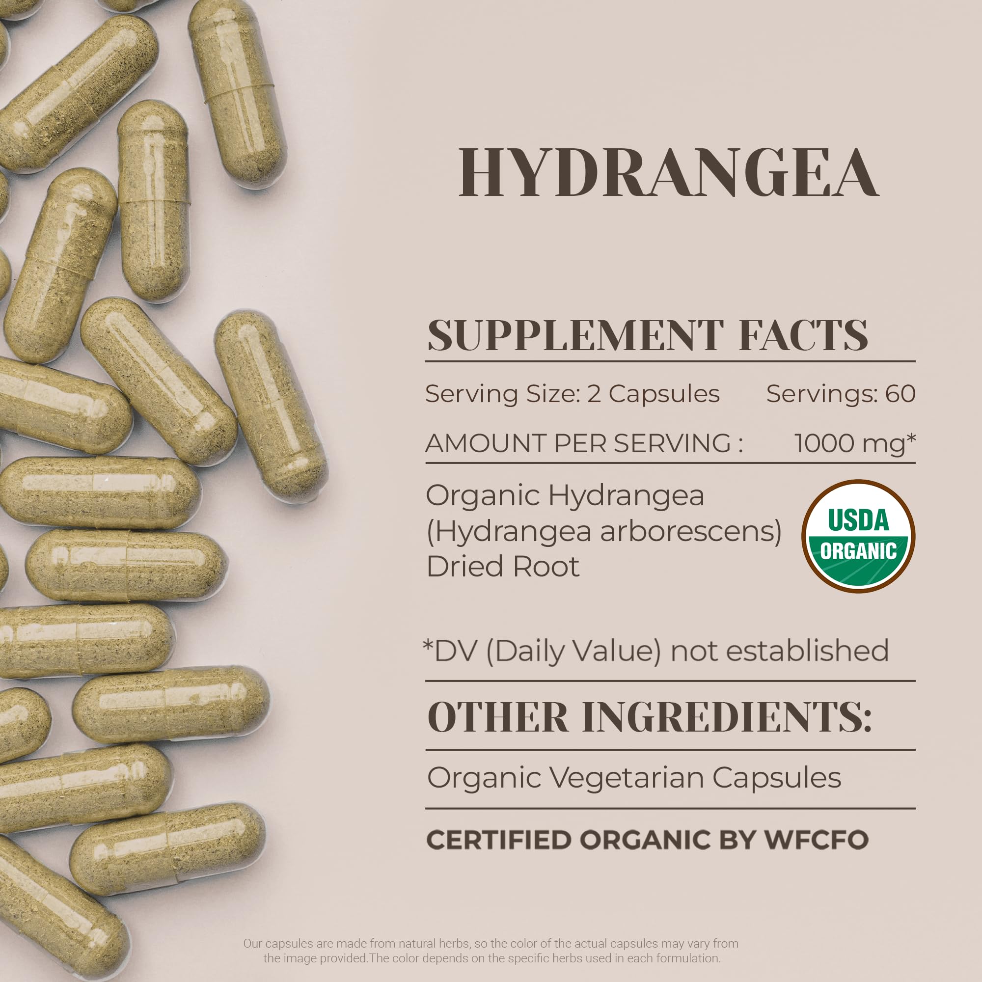 Garden Organics Hydrangea vegetarian capsules image emphasizes plant-based nutrition and convenient daily use