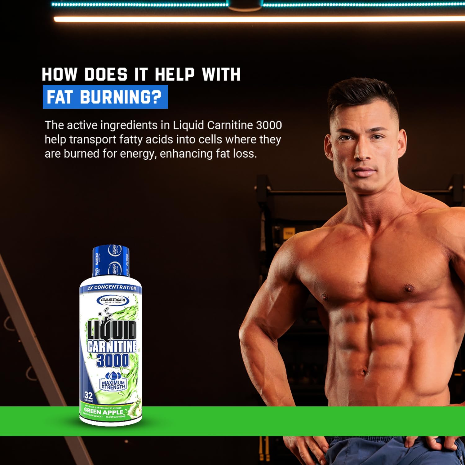 Gaspari Liquid L-Carnitine bottle close-up showcasing clean ingredients.