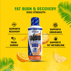 Gaspari Liquid L-Carnitine label close-up with brand credibility and dosage details.