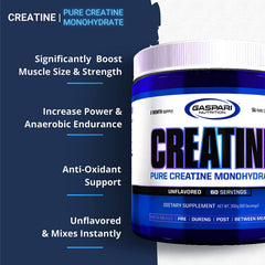 Gaspari Nutrition creatine monohydrate label close-up highlighting purity