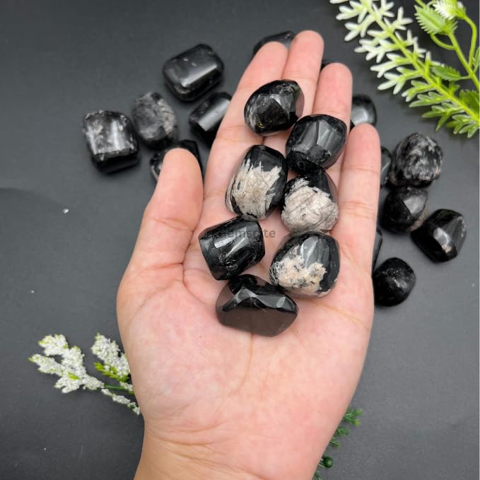 GEMSCITE Black Tourmaline tumbles suitable for jewelry making and crafts.