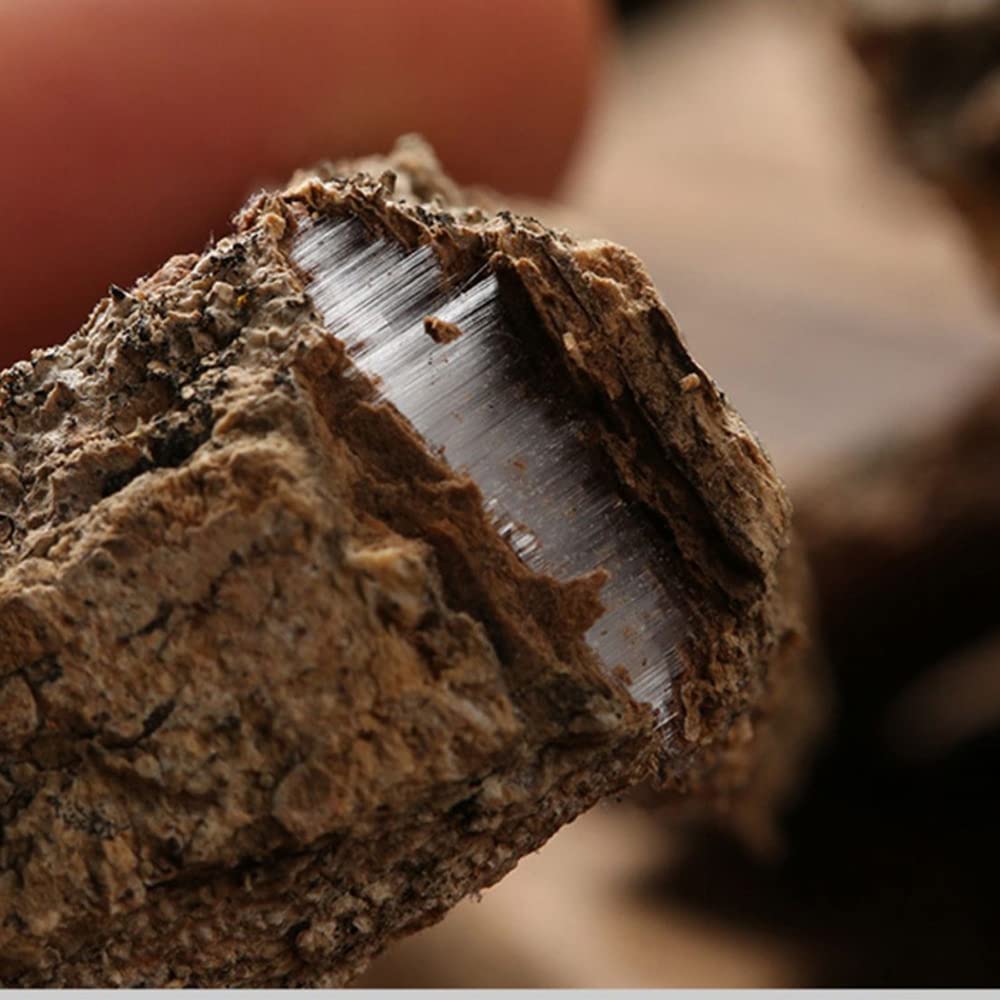Generic Cortex Eucommiae bark bundle image suggests convenient sourcing for regular use.