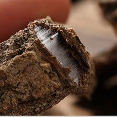 Generic Cortex Eucommiae bark bundle image suggests convenient sourcing for regular use.