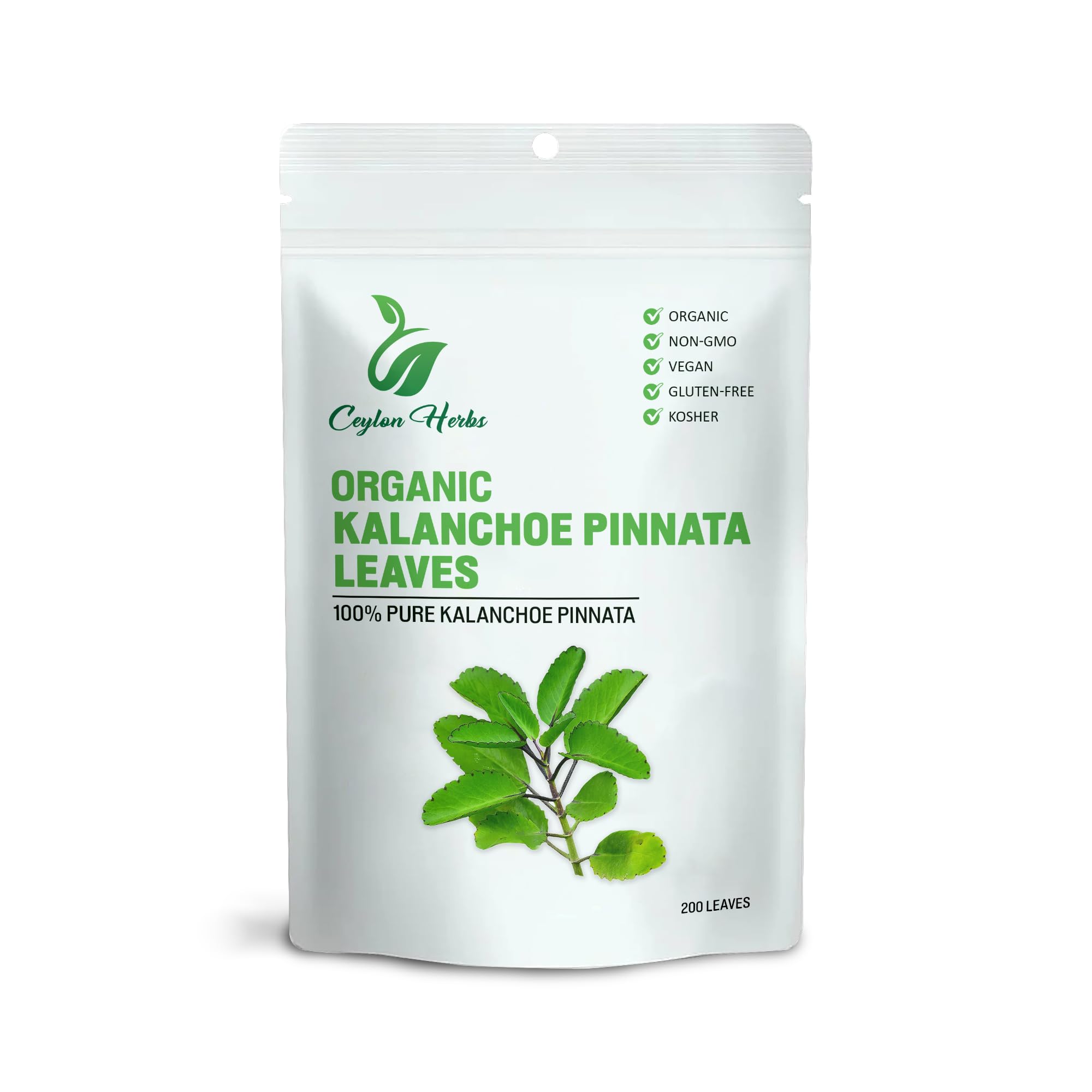 Generic Kalanchoe Pinnata leaves, packaging sealed to preserve freshness