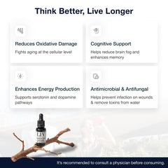 Generic Methylene Blue COA label emphasizes tested purity and safety.