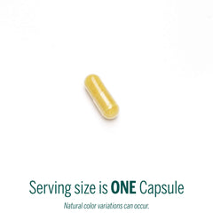 Genestra Berberis Formula capsules ready for daily digestive health support