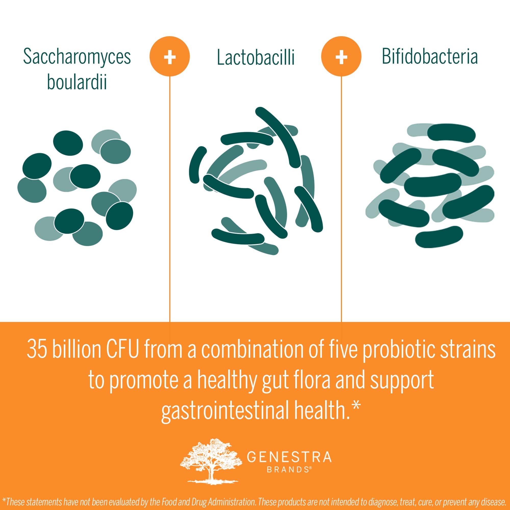 Genestra Brands HMF Travel travel kit bag—convenient probiotic solution for trips.