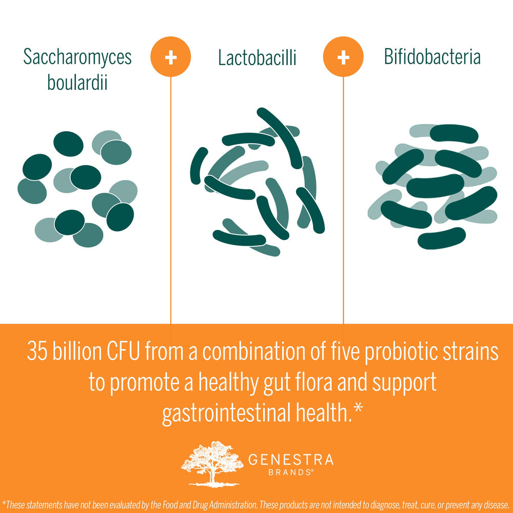 Genestra Brands HMF Travel travel kit bag—convenient probiotic solution for trips.