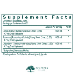 Genestra Intest-gen packaging on table suggesting easy daily use with tincture-like dose.