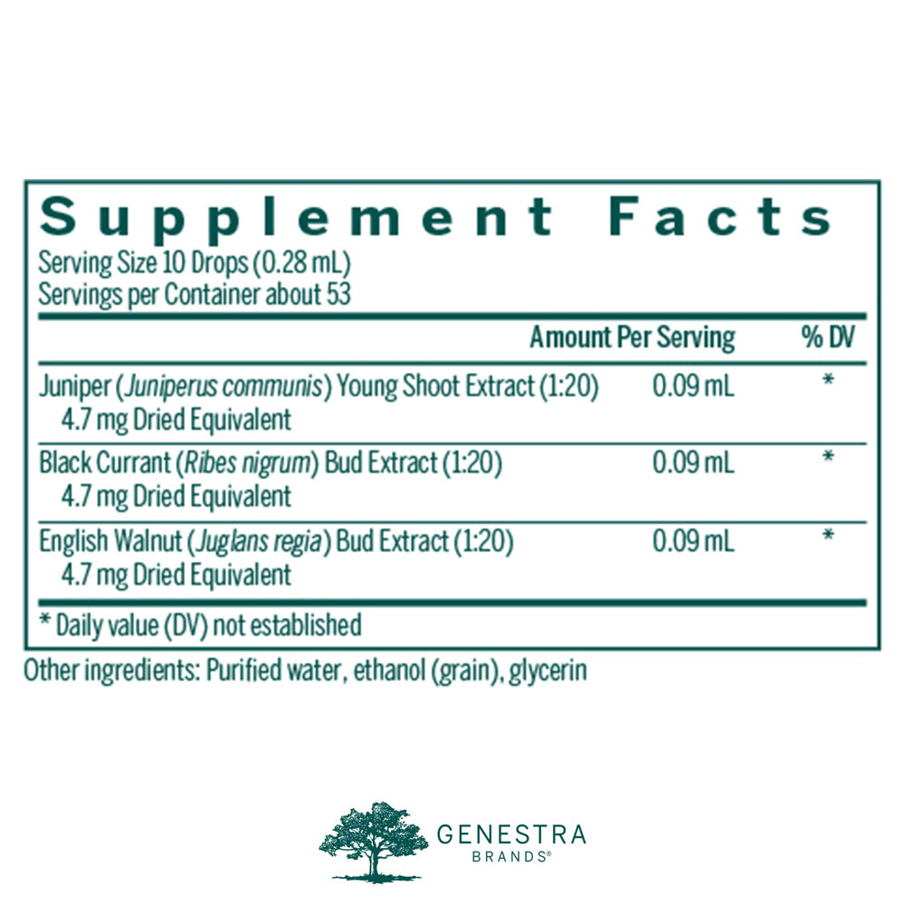 Close-up of Genestra Liv-gen ingredients highlighting juniper and black currant details.