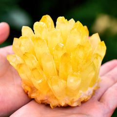 Geodora clear quartz tea prism crystal cluster with warm hues