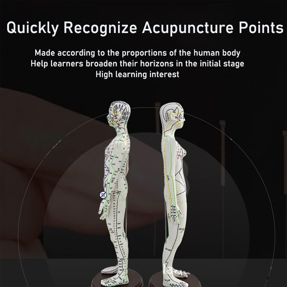 GGFSSQ high-definition acupoints provide precise reference during practice.