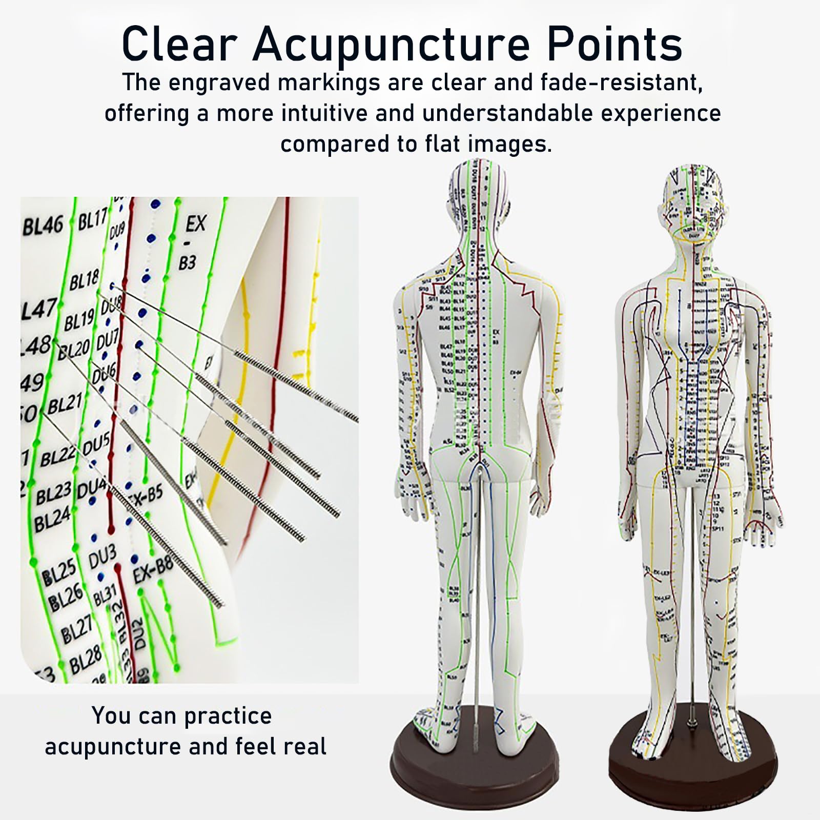 GGFSSQ acupuncture meridians visible on a life-size training model.