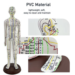 GGFSSQ PVC material model is lightweight, durable, and easy to clean.