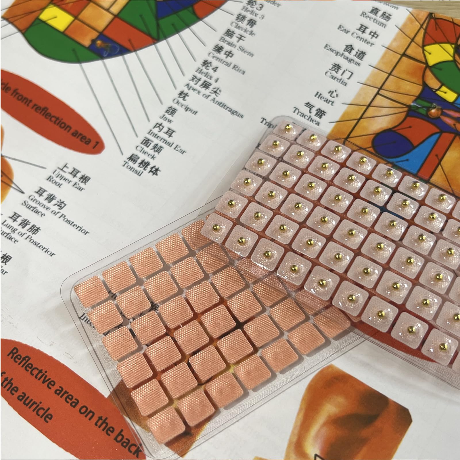 GGFSSQ Portable ear seeds case for on-the-go wellness care