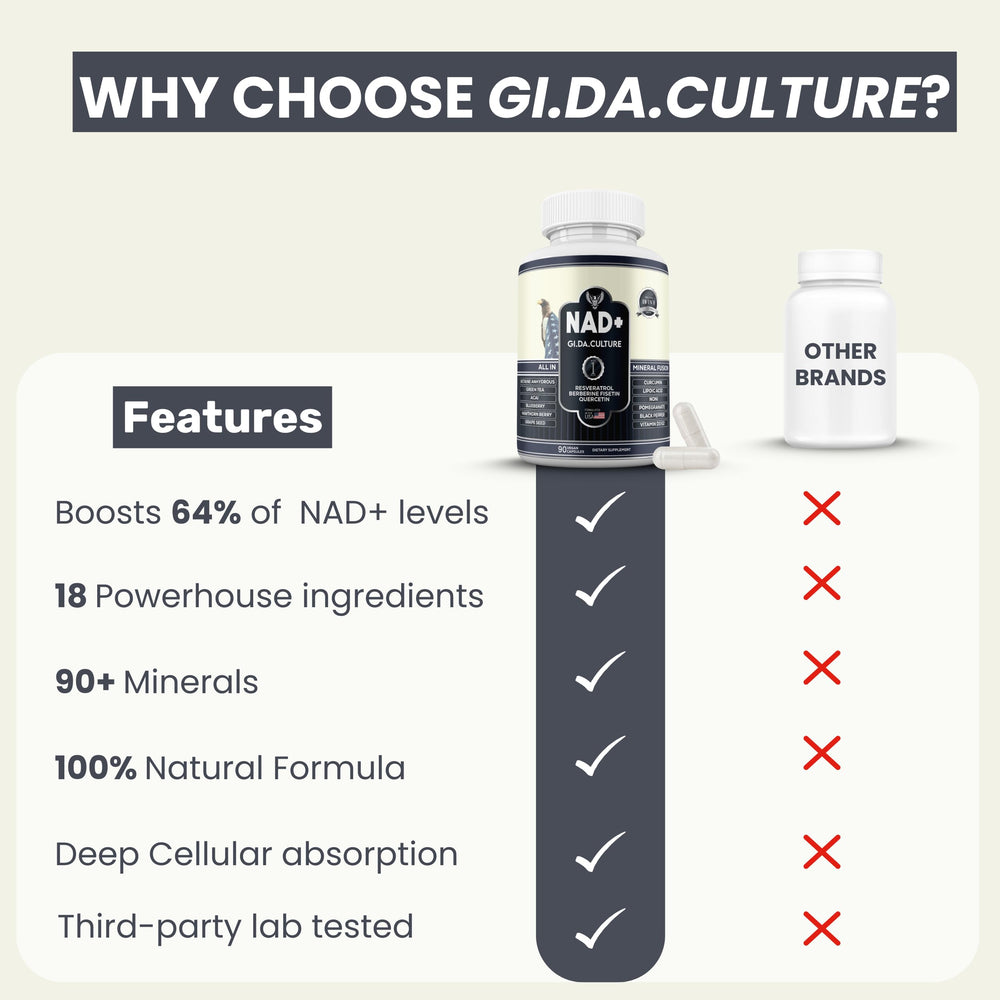 Gi.Da.Culture hands holding supplement signaling daily wellness ritual