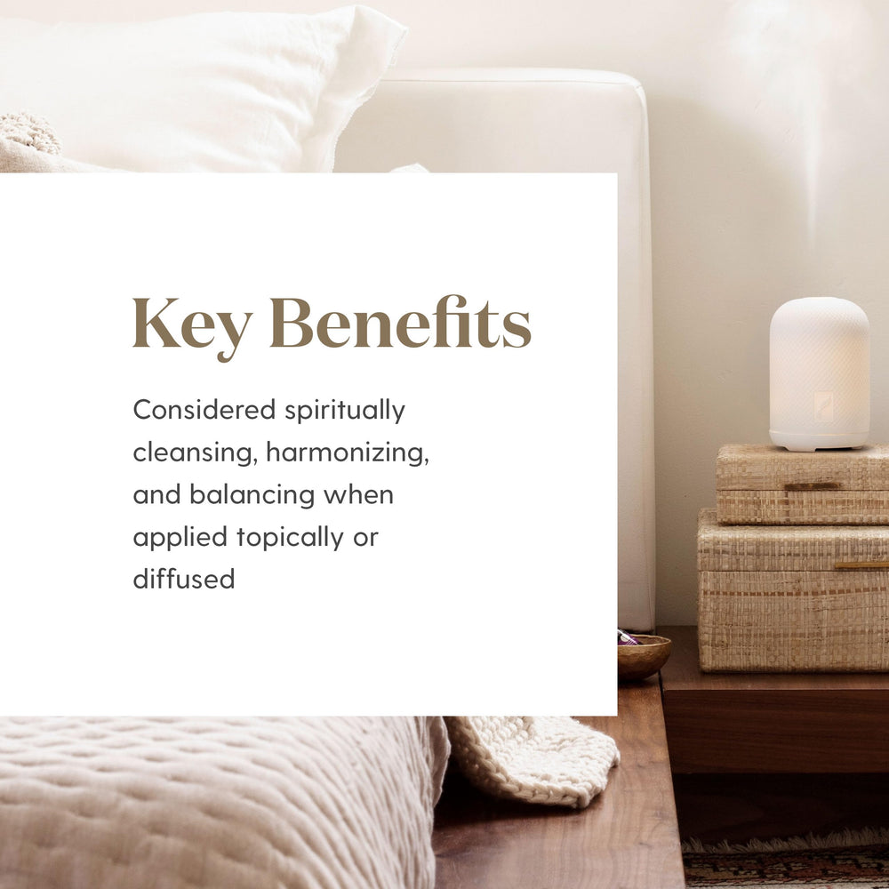 Diffuser scene with Ginger Essential Oil creating a warm aroma