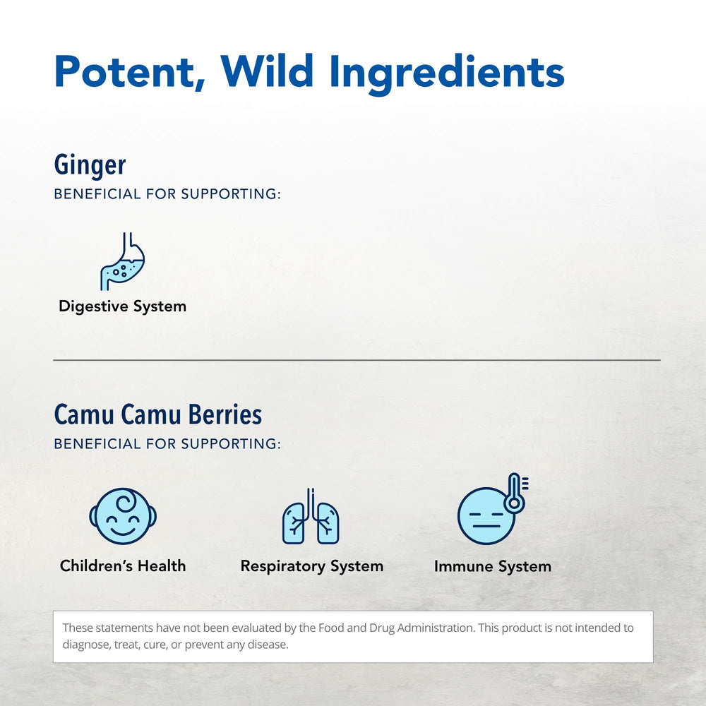 Ginger root concentrate highlighting potent ginger flavonoids and aroma.