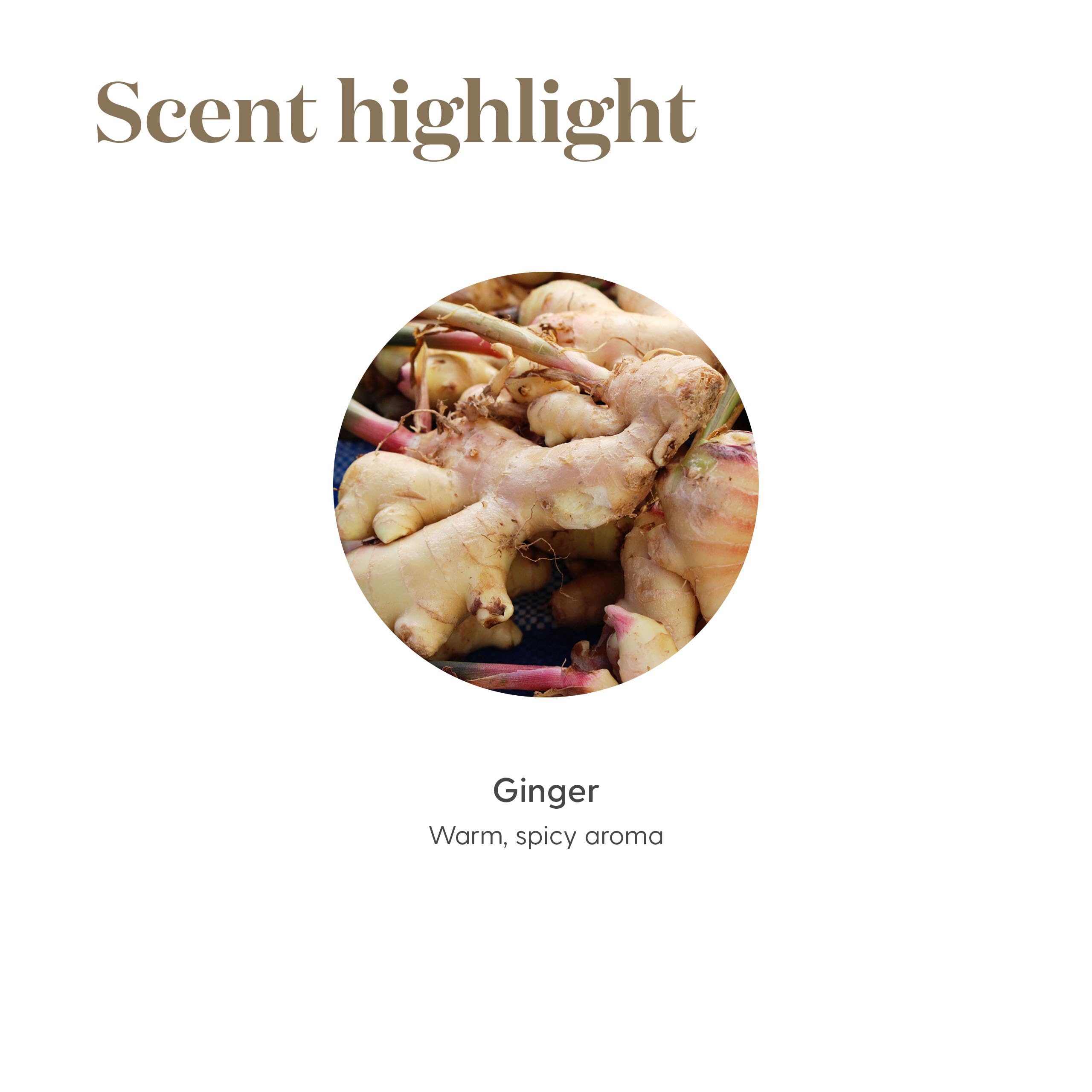 Young Living Ginger Vitality 5ml packaging highlights purity and essential oil quality.