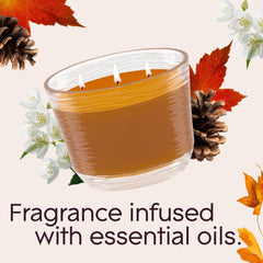 Glade Cashmere Woods fragrance notes of jasmine petals and sandalwood.