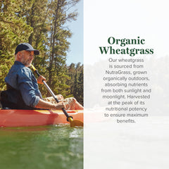 Global Healing Center organic wheatgrass sprouts close-up highlighting nutrient-dense greens for smoothies.