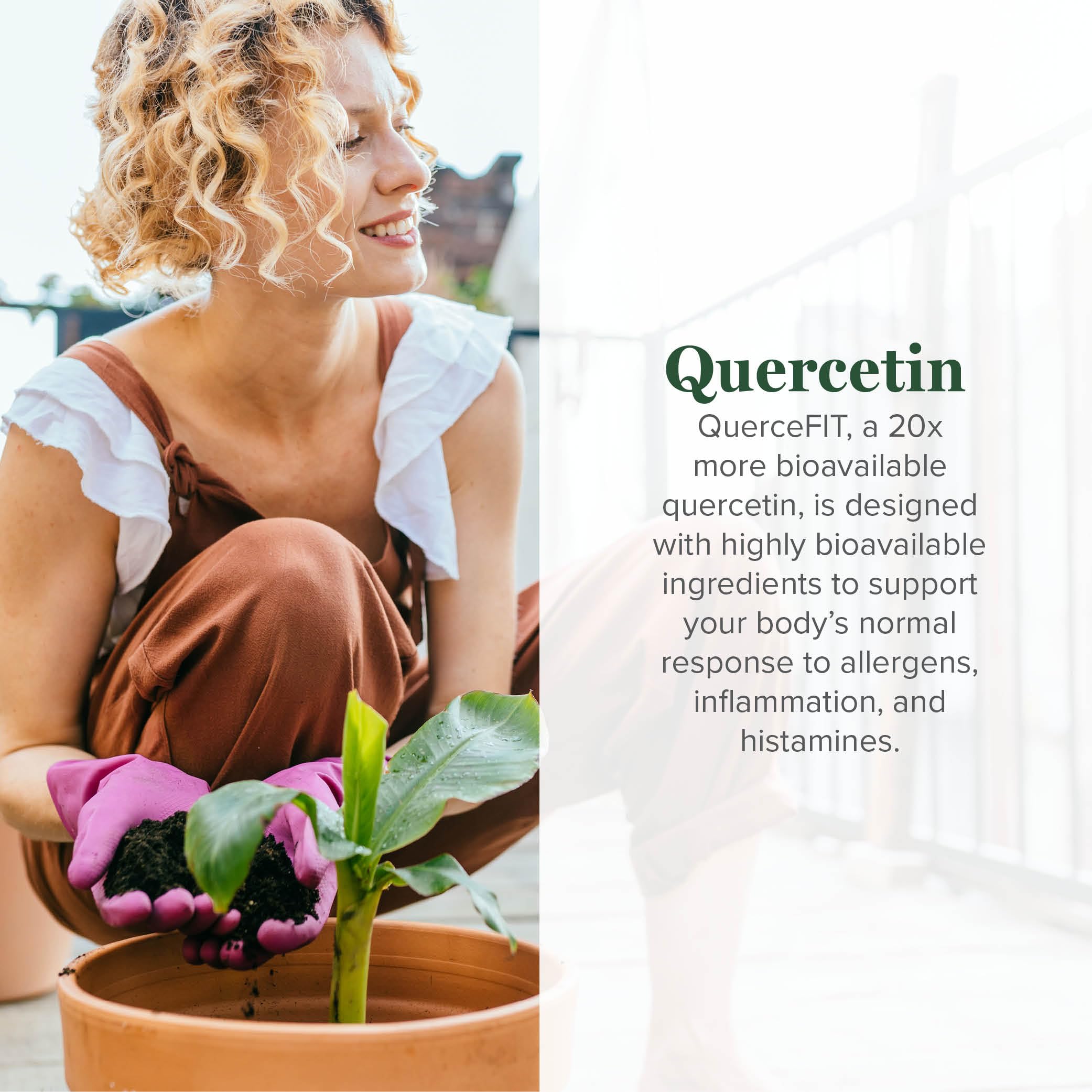 Global Healing Center Quercetin capsules showcase QuerceFIT for enhanced absorption.