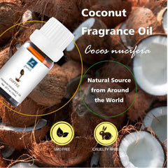 GM Gumili Coffee Fragrance diffuser setup releasing inviting coffee notes throughout a room