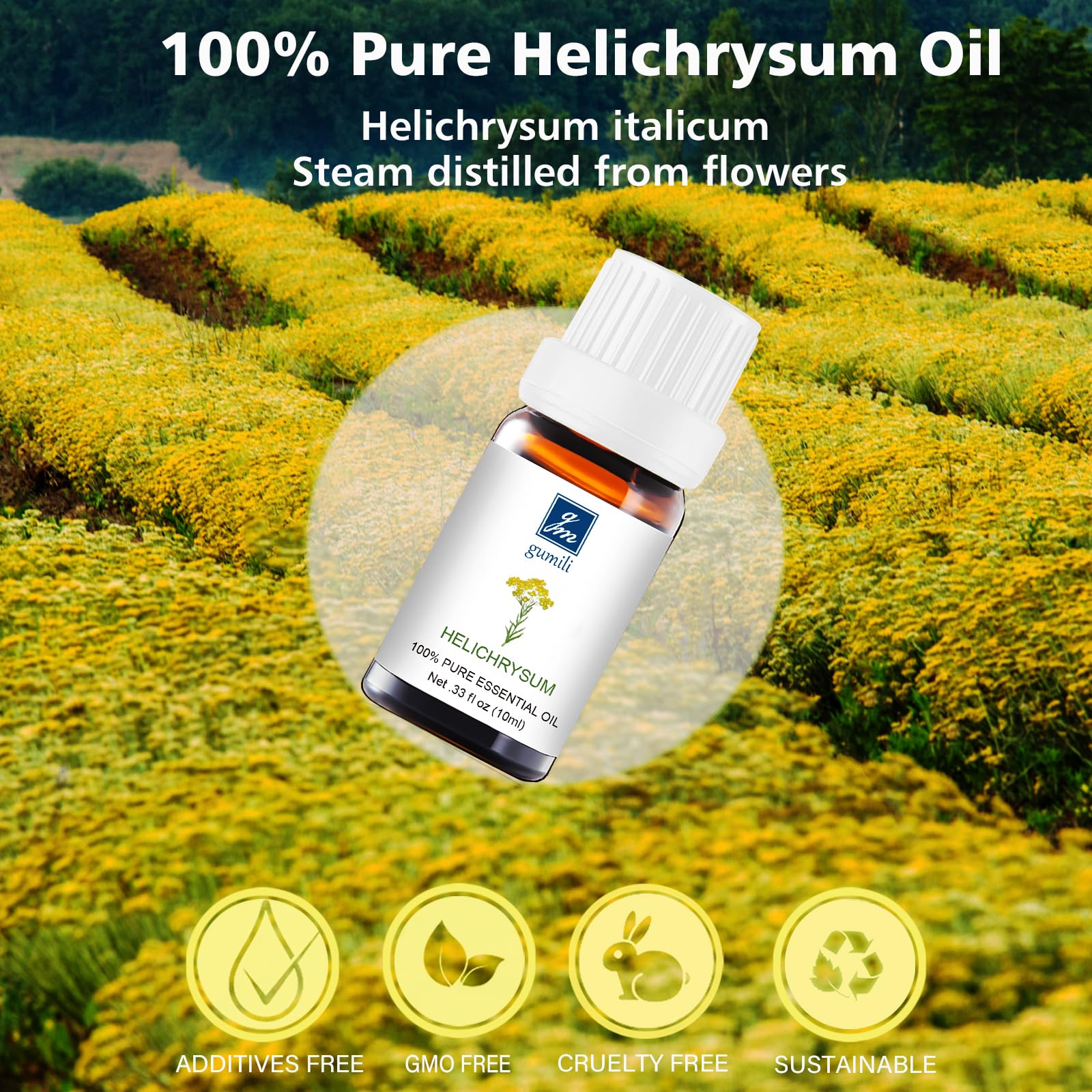 GM Gumili Helichrysum oil with dropper for precise topical application