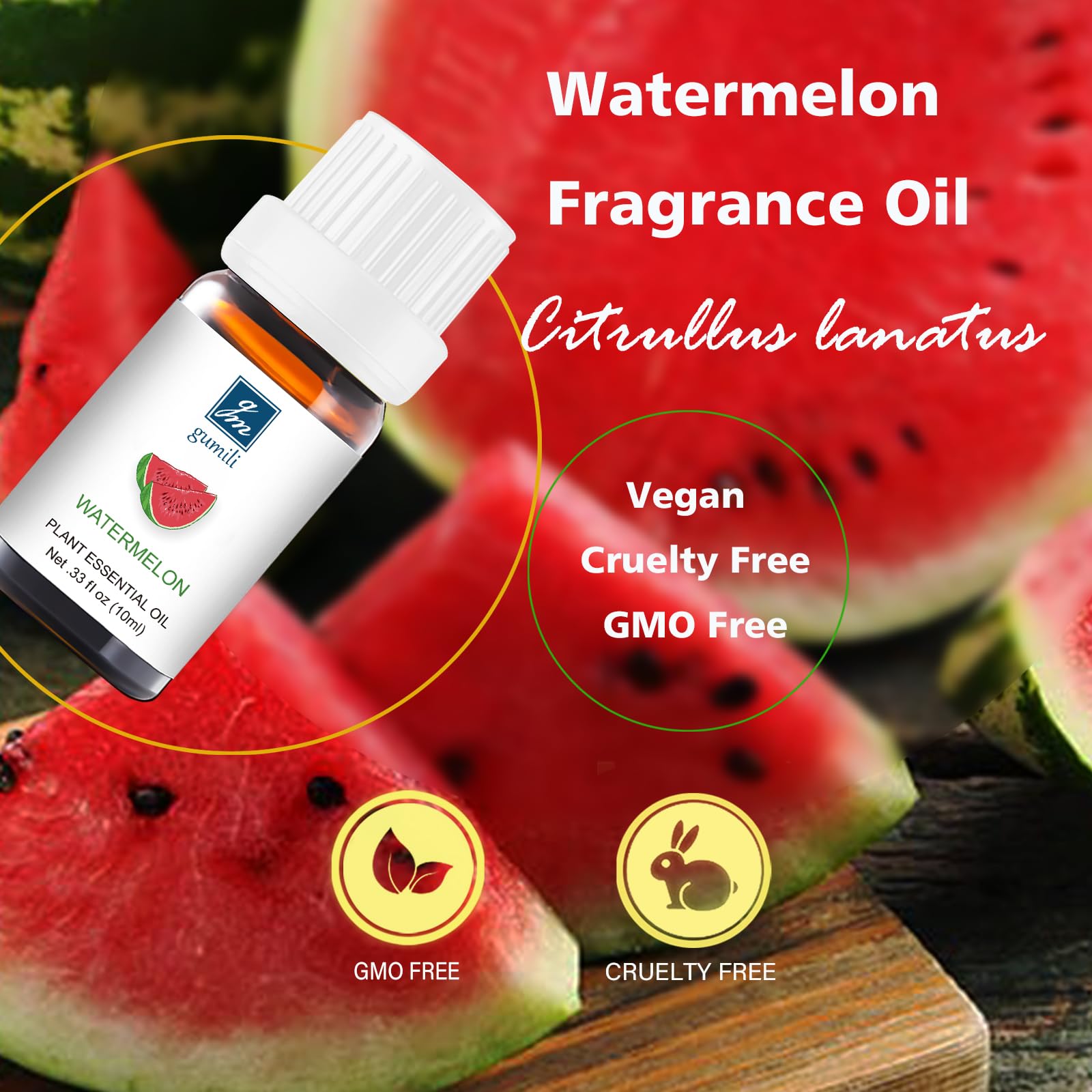 GM Gumili Watermelon fragrance for candles enhances DIY ambiance
