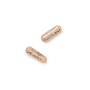 GNC Gentlesorb Iron 18mg dosage information for everyday use.