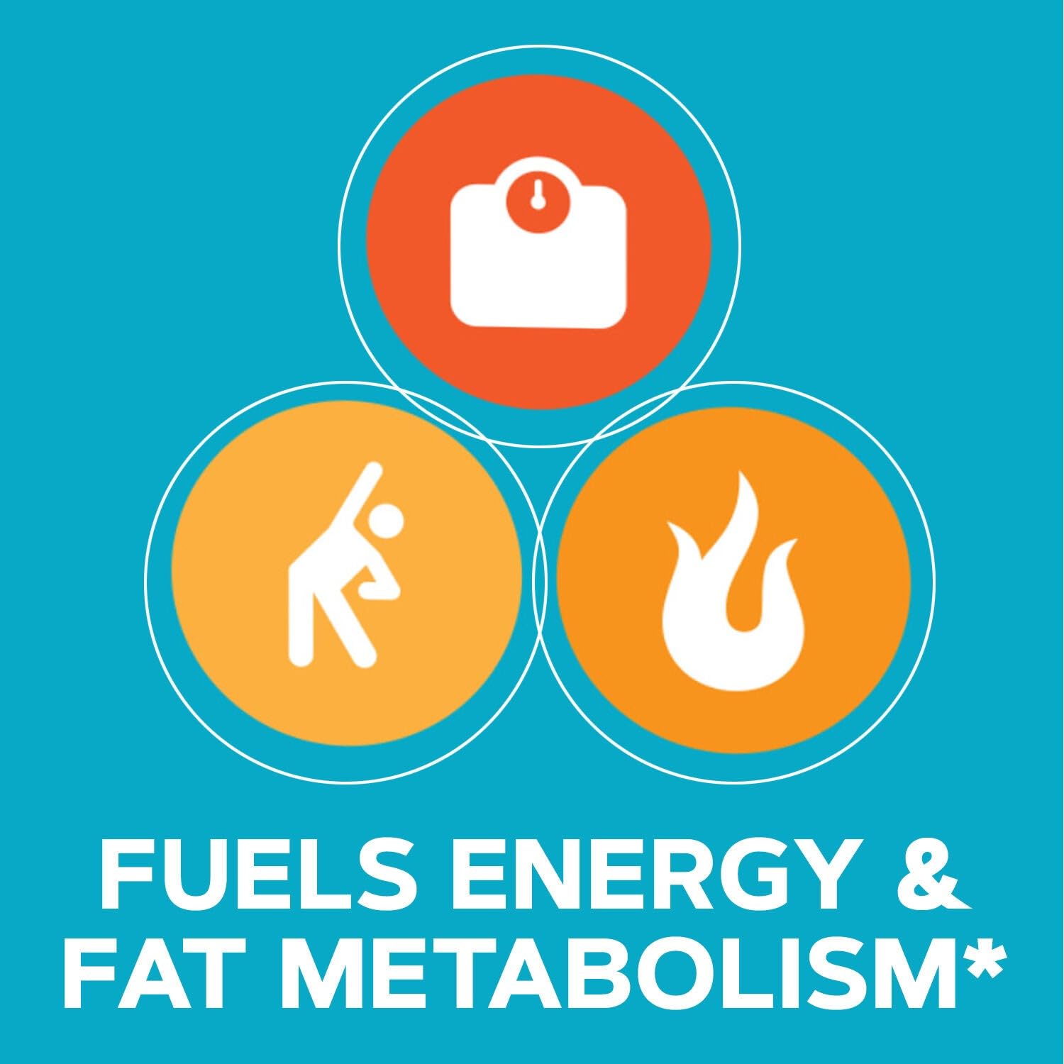 GNC Total Lean CLA label image highlights non-stimulant energy and cardiovascular support ideas