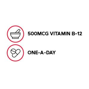 Two-pack of GNC Vitamin B-12 500mcg bottles ready for regular use.