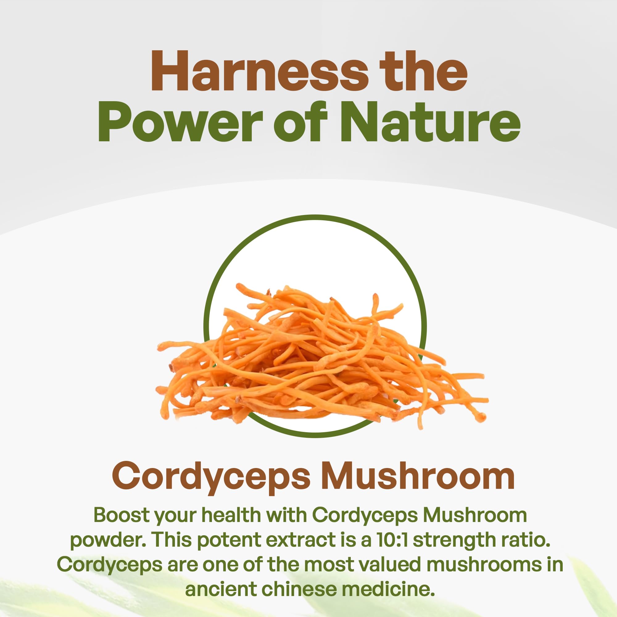 Go Nutra Cordyceps powder measuring spoon ready for dosing.