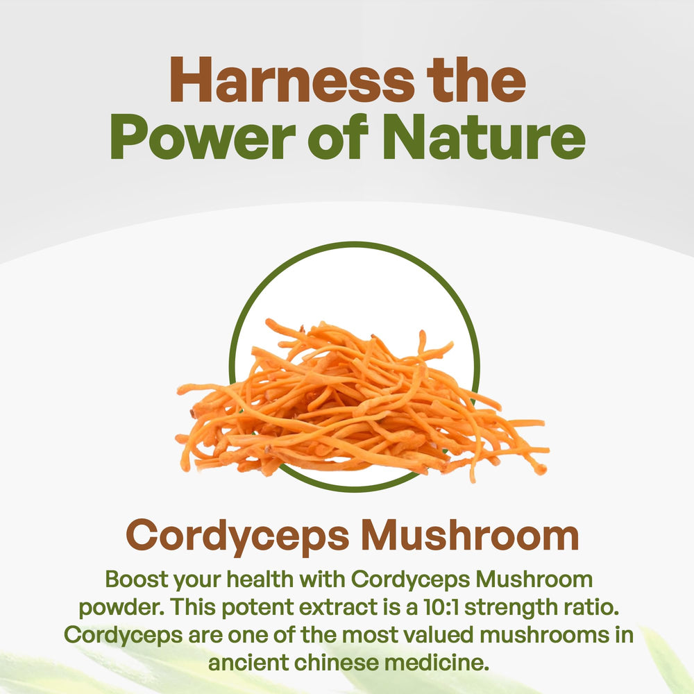 Go Nutra Cordyceps powder measuring spoon ready for dosing.