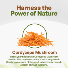 Go Nutra Cordyceps powder measuring spoon ready for dosing.