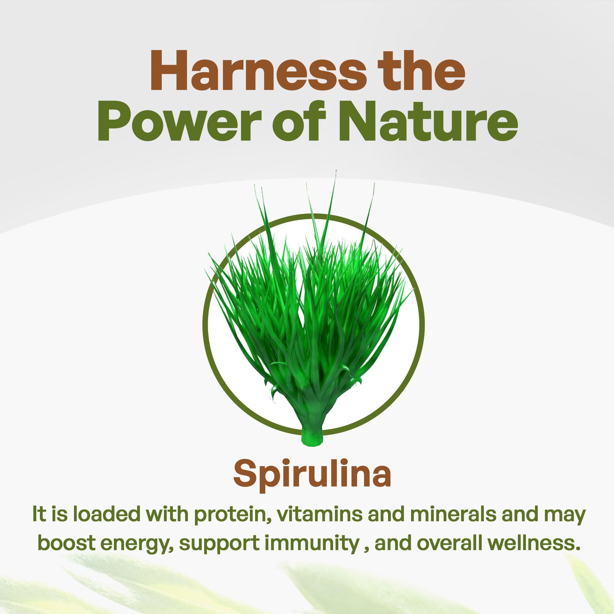 Go Nutra spirulina packaging and label emphasizing organic, vegan, non-GMO credentials