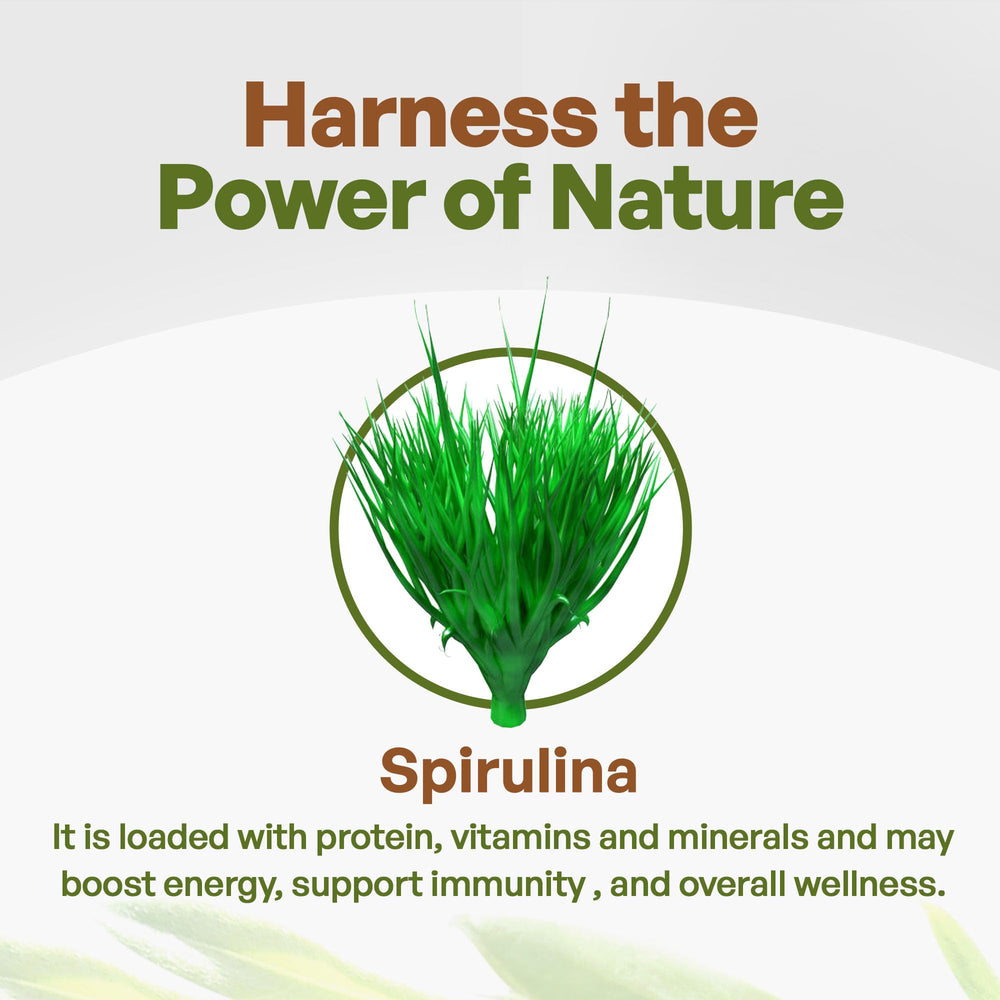 Go Nutra spirulina packaging and label emphasizing organic, vegan, non-GMO credentials