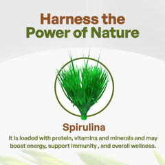 Go Nutra spirulina packaging and label emphasizing organic, vegan, non-GMO credentials